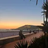 jasmine11_b