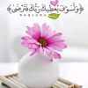 sajan12135