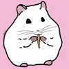 luckyy_the_hamster