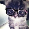 achera_clausius