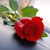 mona3230000719854