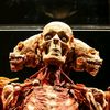 bonehead668