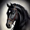 zindagi_535