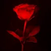 0.am_jr