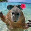 capybaralovers09