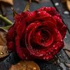 user13954007184771