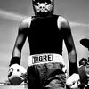 yair.el.tigre