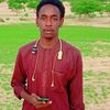 hamaday.hissein16