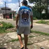 luis157danike