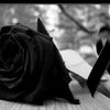 aby84663