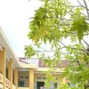 betudethuong12