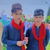 ذوالفقار گلی