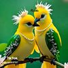 maz.halim.71