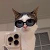 swaggy_taiki