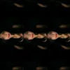ai.sxi