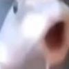 fishsayinghuh
