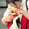 情感老師開講了