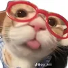 chipp.be7