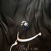 mohamed.ebrahem3866