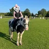 soph.horses.1