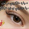 sahib.ullah.sahil