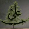 syed.galni.512148
