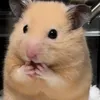 nglinhdthuongnhattg