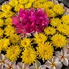 ngoc123_thao3