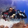 Focus, Dive & Travel