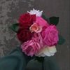 sos.darwish