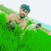 user8401848157623