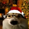jonelias