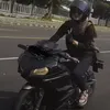 sovy_story