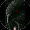 ibrahimboubaker28