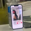 kylealeah8