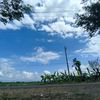 grldwy