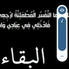 hayat.modamara