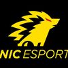 fanssonicesport