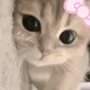 its_miyah8