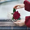 user6904829877906