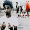 sybau7883637