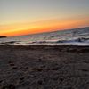 lainie_001