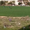 abdesslam.elmadan