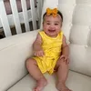 rosemerisantanada5