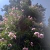 ofelia0573