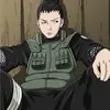 shikamaru.paiva1