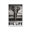 biglifefoundation