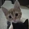 karinxxz3