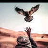 dzf_39