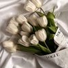 user48831311141614